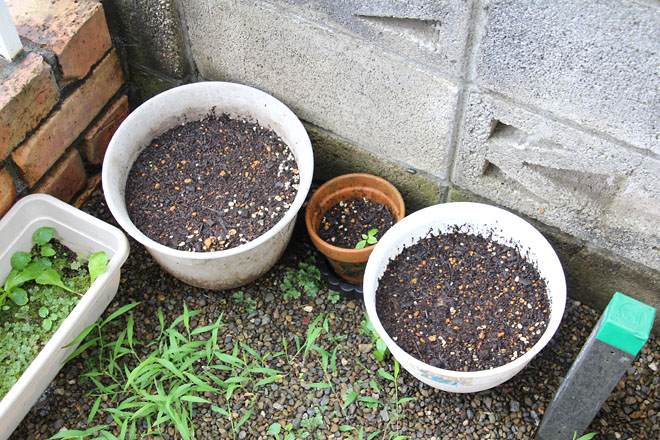 f:id:takahikonojima:20210715073535j:plain