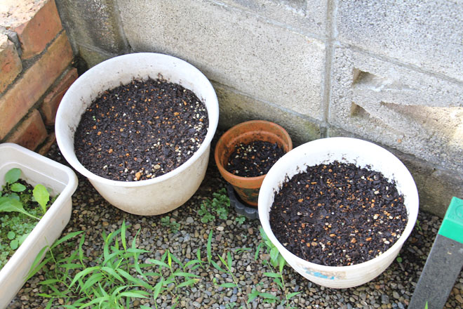 f:id:takahikonojima:20210716073342j:plain