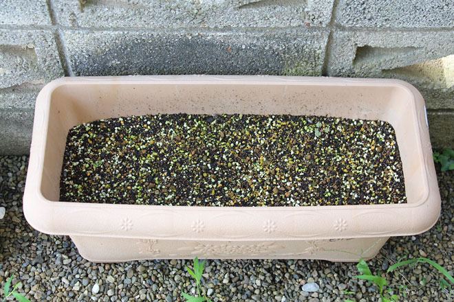 f:id:takahikonojima:20210716073346j:plain