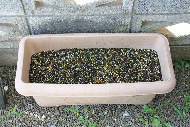 f:id:takahikonojima:20210717075133j:plain