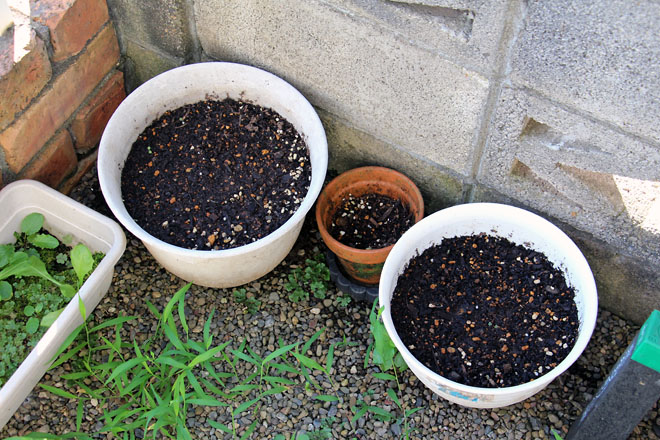 f:id:takahikonojima:20210718071830j:plain