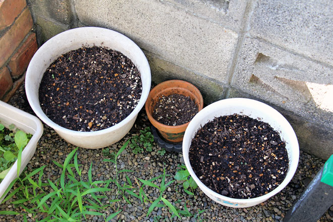 f:id:takahikonojima:20210719073740j:plain