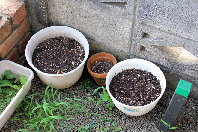 f:id:takahikonojima:20210720075735j:plain