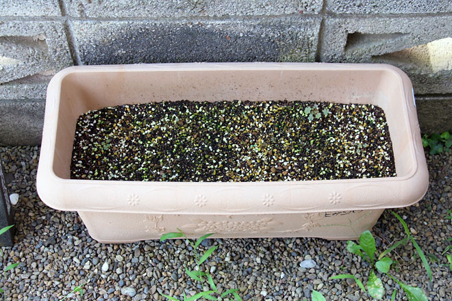 f:id:takahikonojima:20210720075737j:plain