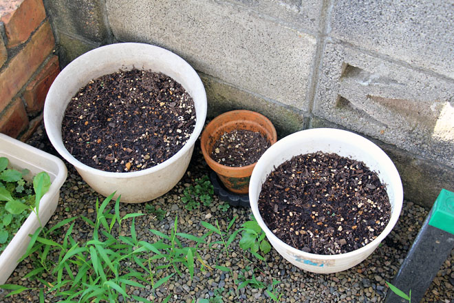 f:id:takahikonojima:20210721062505j:plain