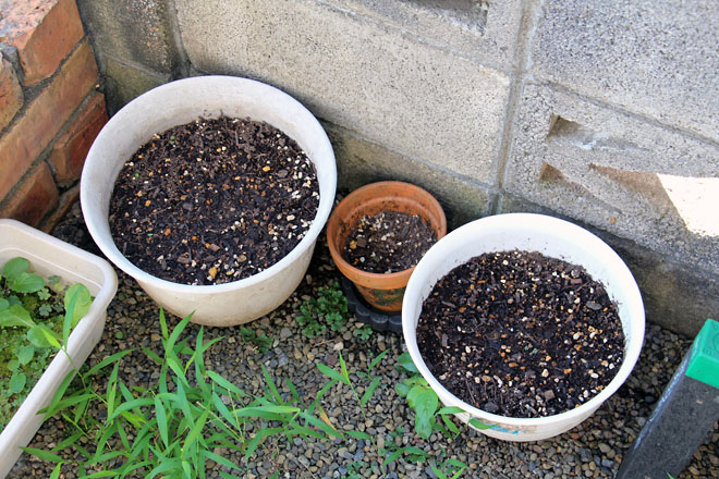 f:id:takahikonojima:20210722080245j:plain