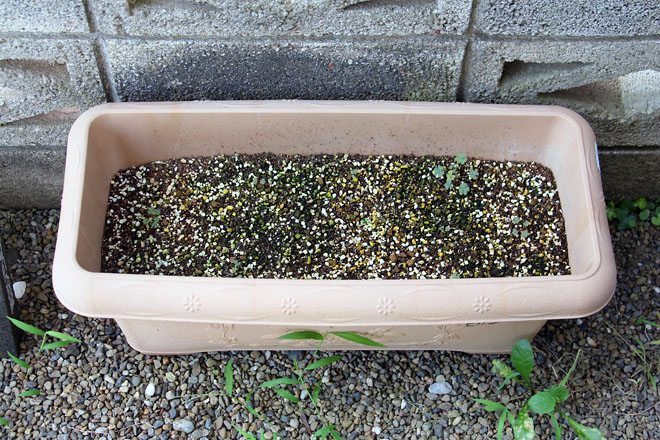 f:id:takahikonojima:20210723082517j:plain