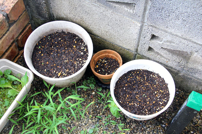 f:id:takahikonojima:20210724084116j:plain