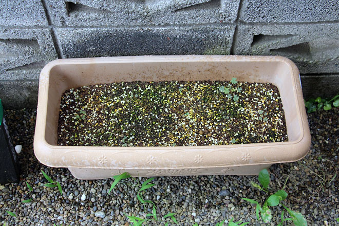 f:id:takahikonojima:20210724084120j:plain