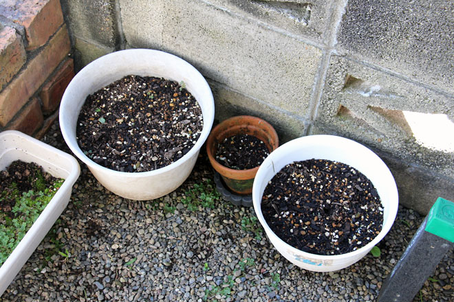 f:id:takahikonojima:20210820082938j:plain