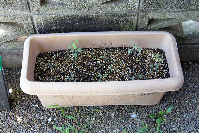 f:id:takahikonojima:20210820082941j:plain