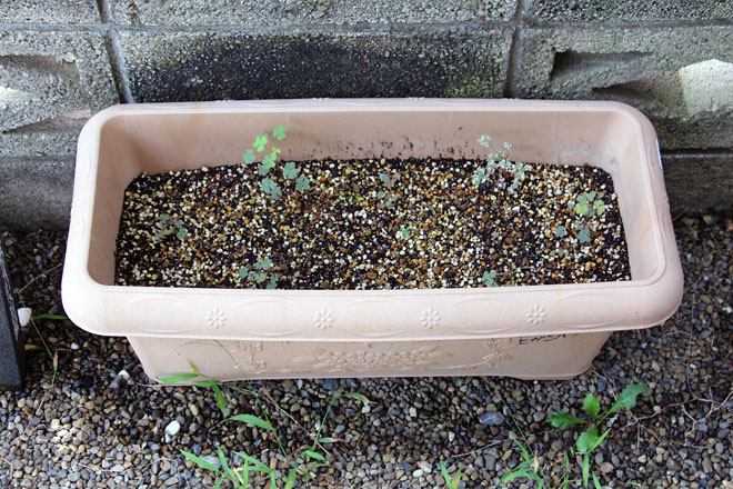 f:id:takahikonojima:20210821082411j:plain