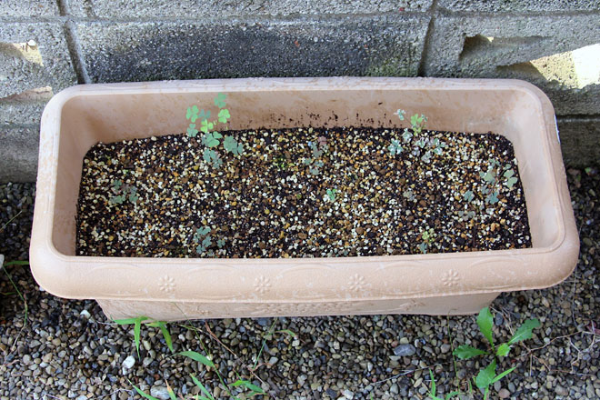 f:id:takahikonojima:20210824071601j:plain