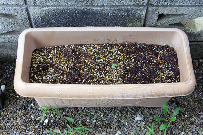 f:id:takahikonojima:20210825073310j:plain