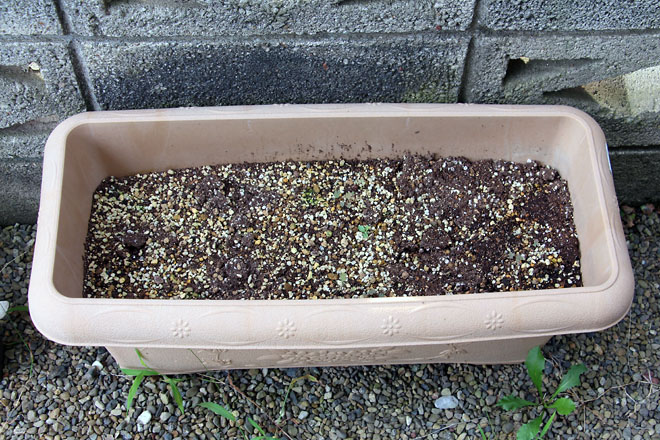 f:id:takahikonojima:20210826074344j:plain