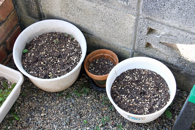 f:id:takahikonojima:20210827082809j:plain