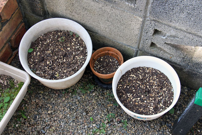 f:id:takahikonojima:20210828084346j:plain