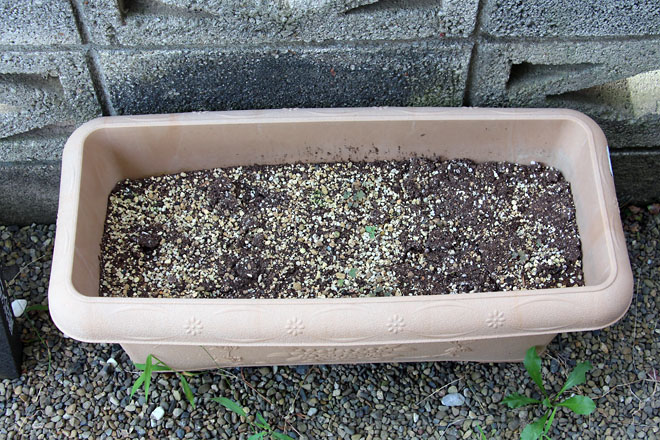 f:id:takahikonojima:20210828084350j:plain