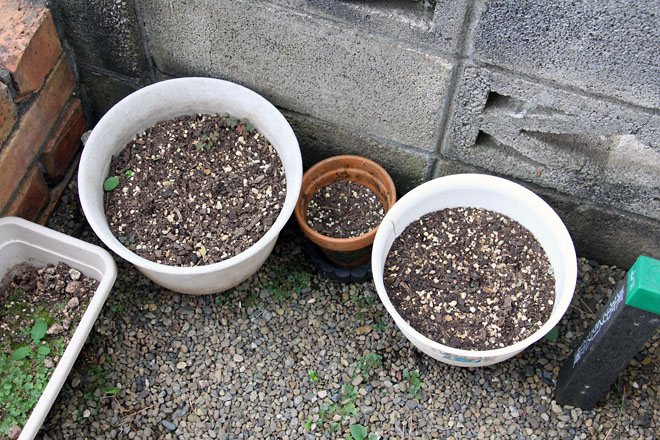 f:id:takahikonojima:20210829083121j:plain