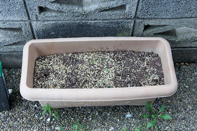 f:id:takahikonojima:20210829083123j:plain