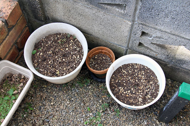 f:id:takahikonojima:20210830081848j:plain