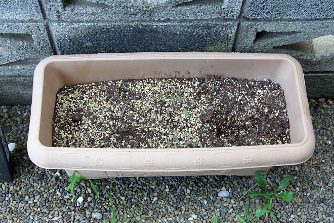 f:id:takahikonojima:20210830081851j:plain