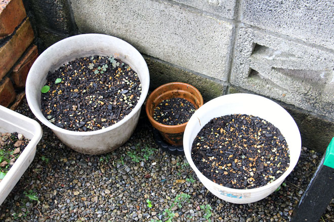 f:id:takahikonojima:20210903081152j:plain