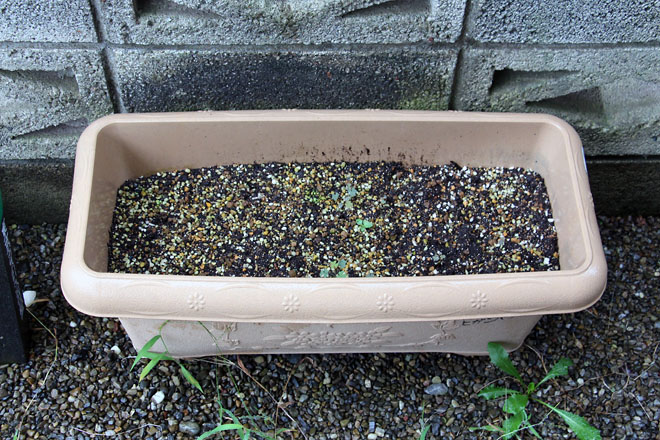 f:id:takahikonojima:20210903081156j:plain