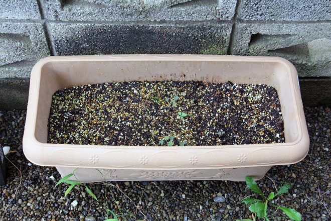 f:id:takahikonojima:20210904071554j:plain