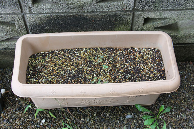 f:id:takahikonojima:20210905075519j:plain