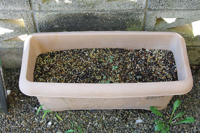 f:id:takahikonojima:20210907063439j:plain