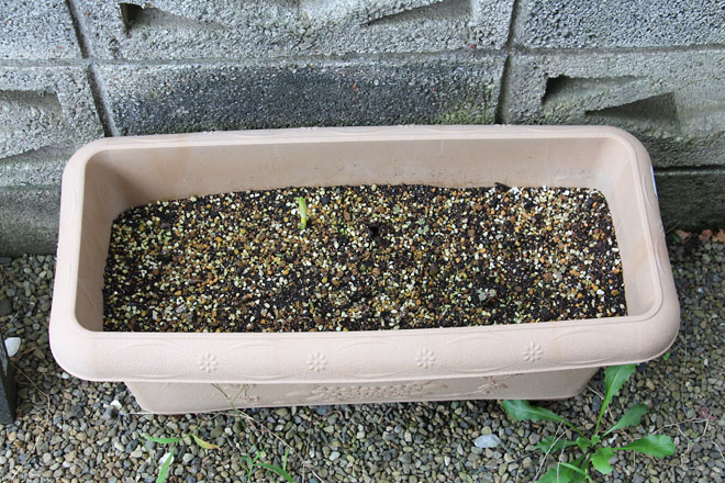 f:id:takahikonojima:20210911084019j:plain