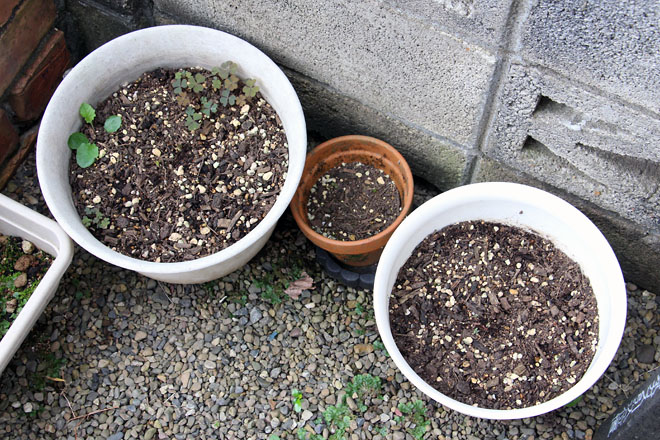 f:id:takahikonojima:20210914072121j:plain