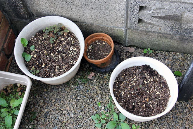 f:id:takahikonojima:20210917071803j:plain