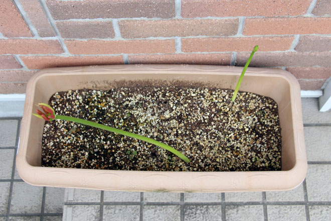 f:id:takahikonojima:20210917071820j:plain