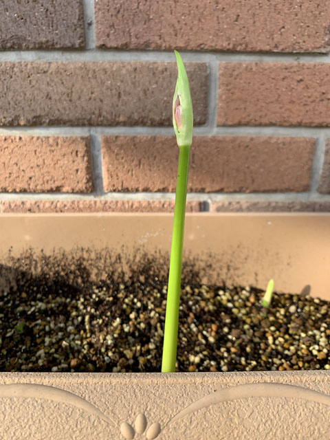 f:id:takahikonojima:20210918154249j:plain