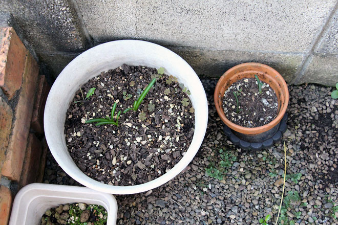 f:id:takahikonojima:20210929062131j:plain