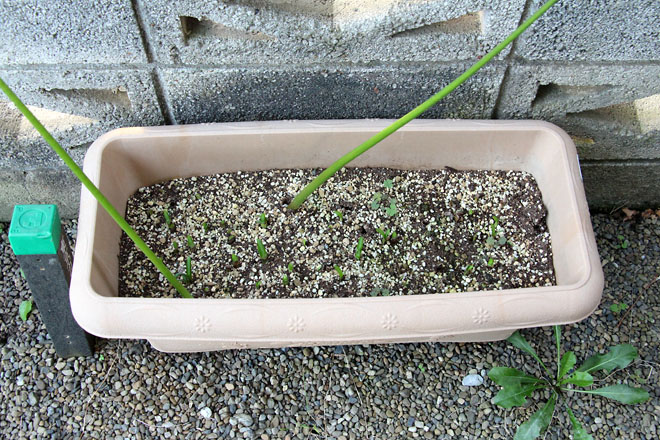 f:id:takahikonojima:20210929062136j:plain