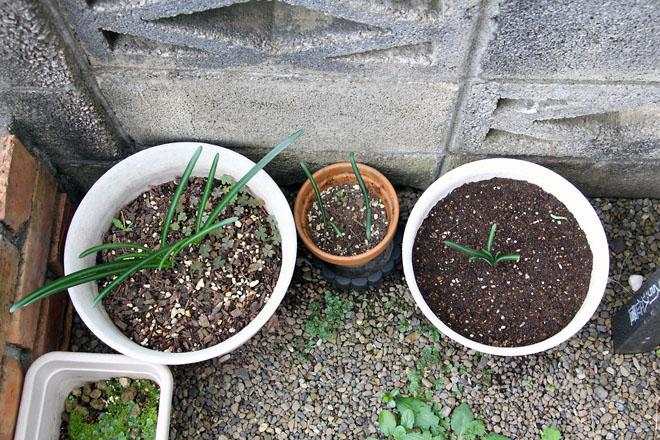 f:id:takahikonojima:20211010081953j:plain