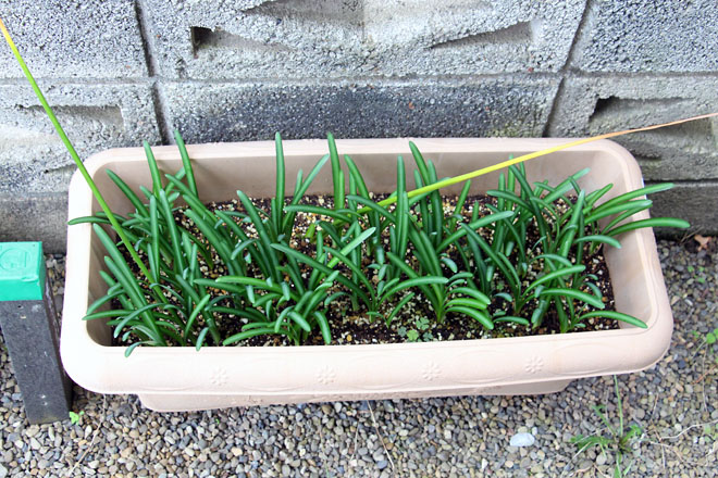 f:id:takahikonojima:20211010081957j:plain