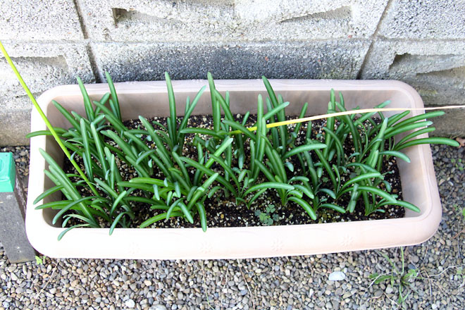 f:id:takahikonojima:20211011073002j:plain