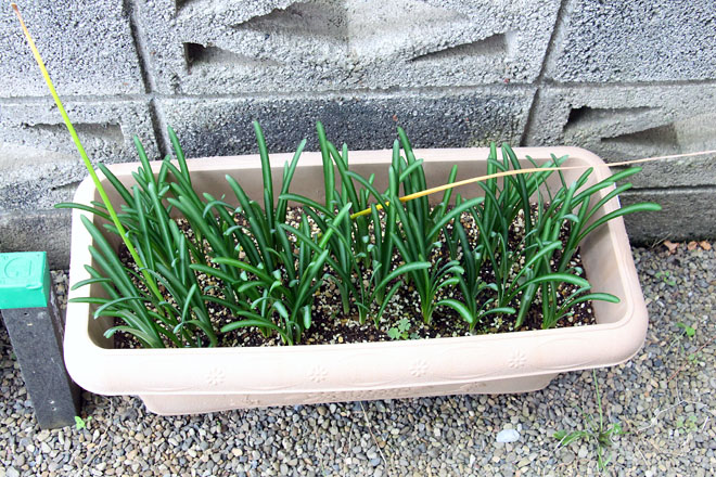 f:id:takahikonojima:20211012072307j:plain