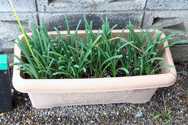 f:id:takahikonojima:20211013062318j:plain