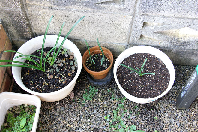 f:id:takahikonojima:20211015071615j:plain