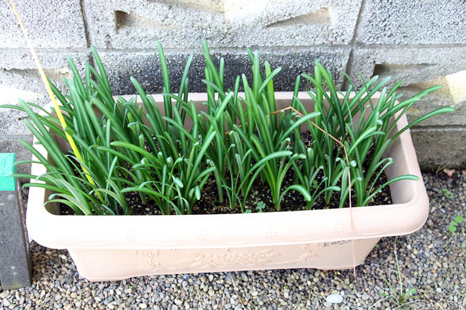 f:id:takahikonojima:20211015071619j:plain