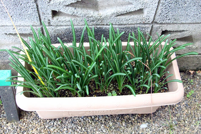 f:id:takahikonojima:20211016071213j:plain