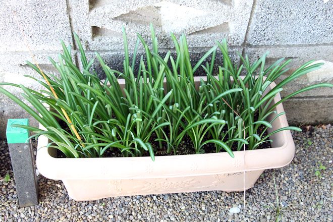 f:id:takahikonojima:20211018074219j:plain