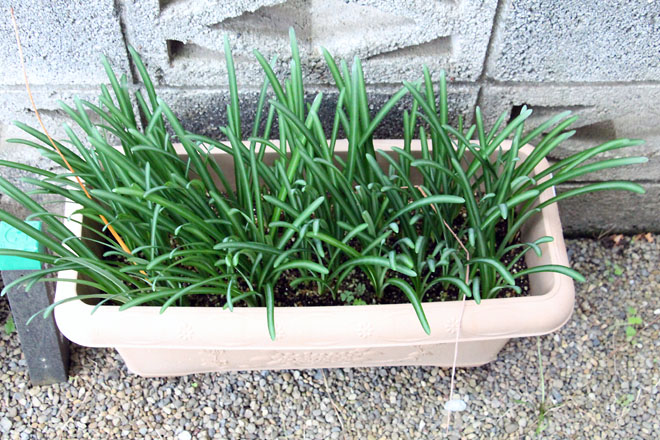 f:id:takahikonojima:20211019064516j:plain