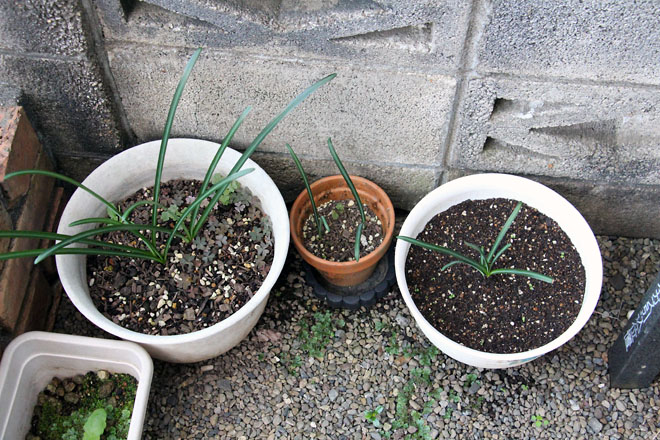 f:id:takahikonojima:20211021062929j:plain