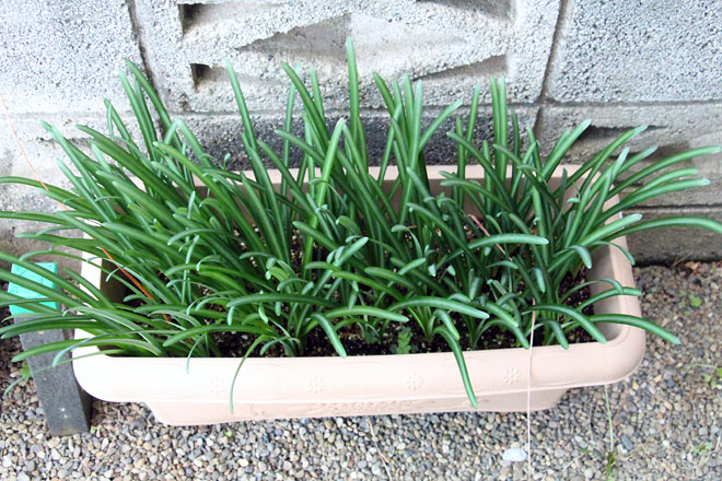 f:id:takahikonojima:20211021062933j:plain